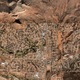 Image for article titled Google Maps of Sci-Fi